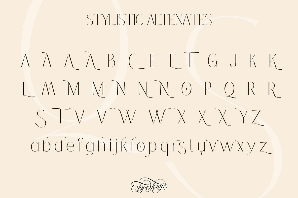 Coastine - Chic Modern Font, a Sans Serif Font by Typetemp Studio (Photo 25 of 26)
