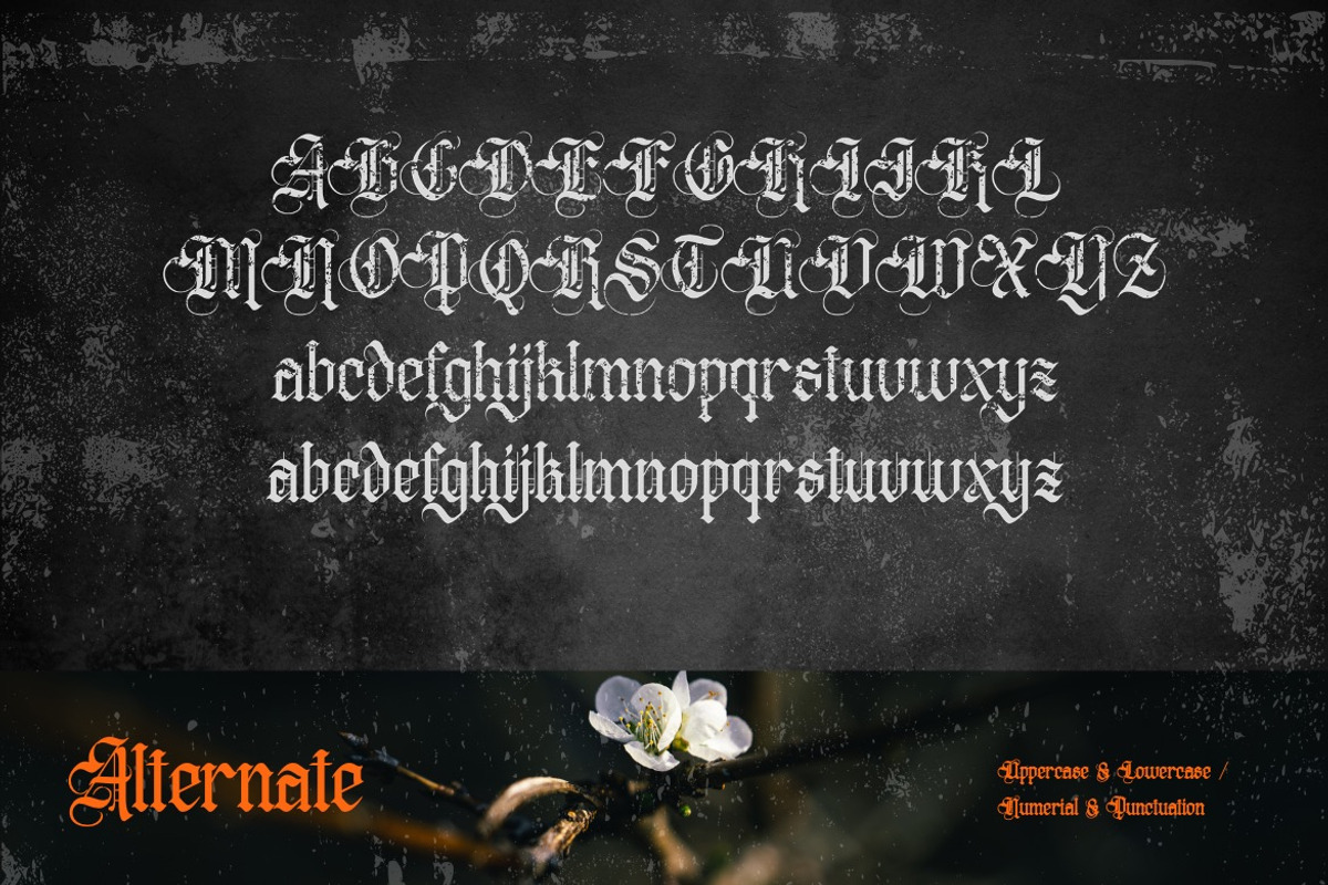 Distropiax - Modern Blackletter Font, a Blackletter Font by Dhabee (Photo 2 of 15)