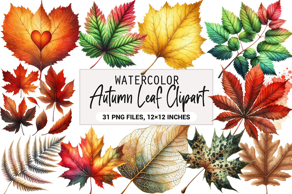 Watercolor Autumn Leaf Clipart, an Illustration by DreamArtGraphic (Photo 1 of 6)