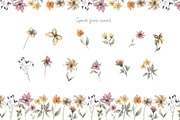 Watercolor Meadow Florals Set, a Decorative Illustration by MayaNavits (Thumbnail 6 of 8)