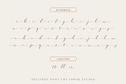 Sellinky - modern calligraphy script, a Script Font by Siwox Studios (Thumbnail 7 of 8)
