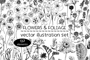 Flowers & foliage - illustrations