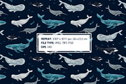 Whale pattern, a Pattern Graphic by 13 RAPPORTS I Lena Nesmi (Thumbnail 3 of 8)