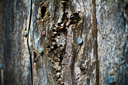 Old Fence Wood