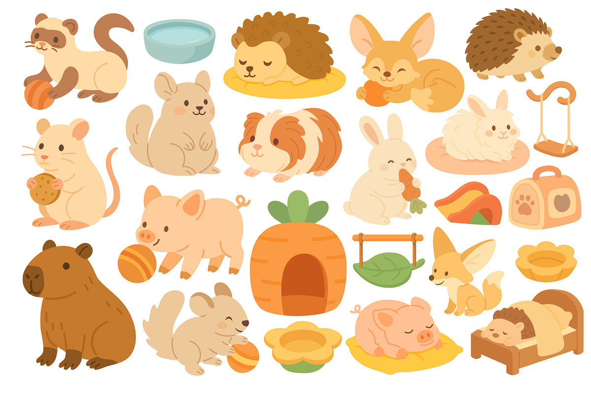 Cute Small Pets Clipart Set, an Animal Illustration by ananastya (Photo 2 of 3)