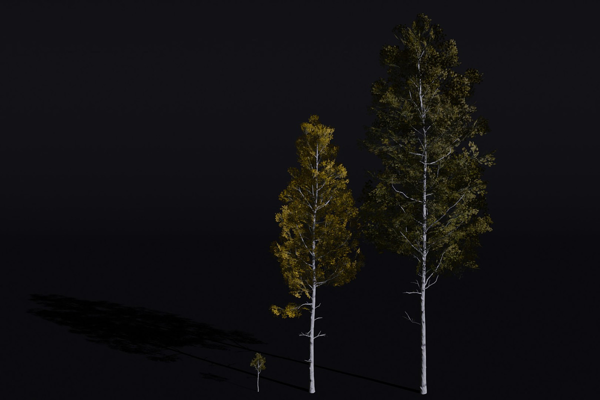 The Quaking Aspen Tree, a Plants & Tree 3D Model by FuturePastCreatives
