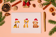 9 Cute Pet Wearing Santa Hat, an Illustration by jongcreative (Thumbnail 3 of 4)