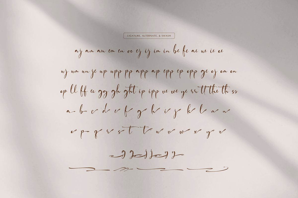Fortune Messenger Handwritten Script, a Sans Serif Font by gracetype_studio (Photo 11 of 12)