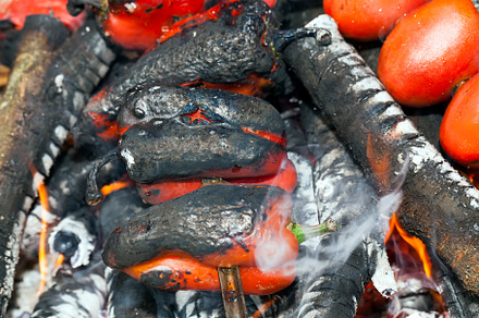 vegetables tomatoes and peppers, a Photo by MyPhotos