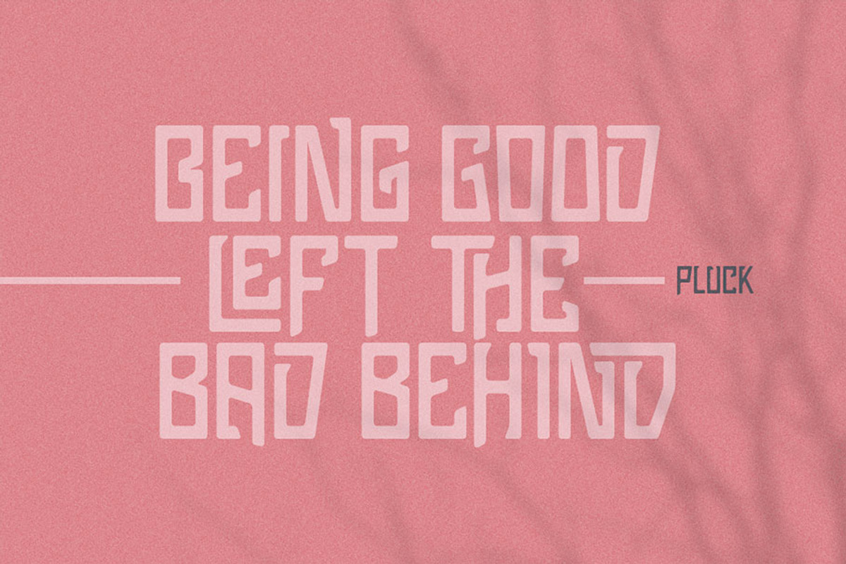 Pluck Font, a Font by Grontype (Photo 3 of 12)