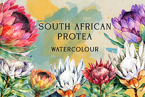 South African Flowers