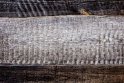 Old Wood Texture Wood Log Wall, a Texture Graphic by VetalStock (Thumbnail 9 of 9)