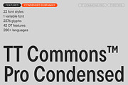 TT Commons Pro Condensed, a Sans Serif Font by TypeType (Thumbnail 1 of 6)