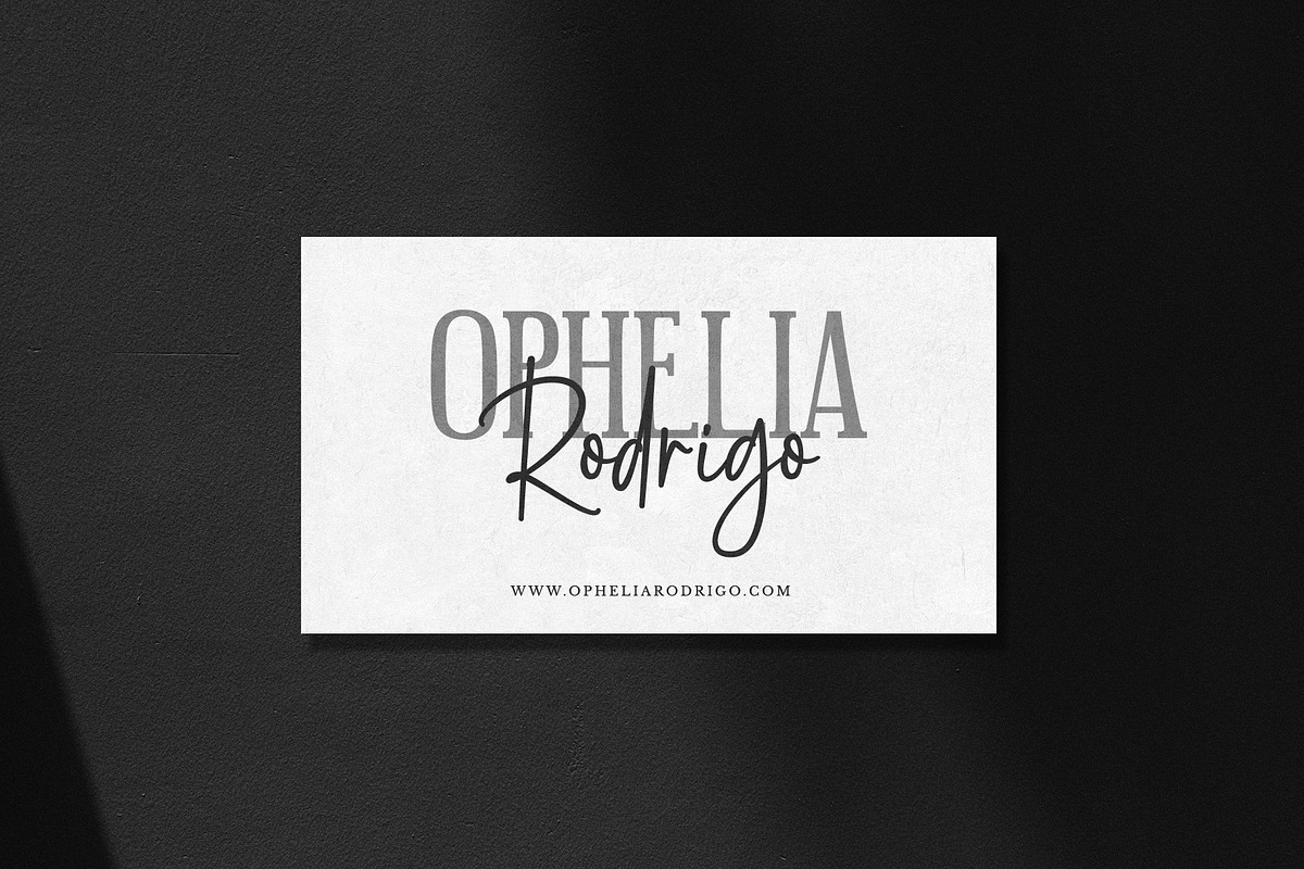 Cattalina Signature Monoline Script, a Handwritten Font by Geelator Studio (Photo 3 of 11)