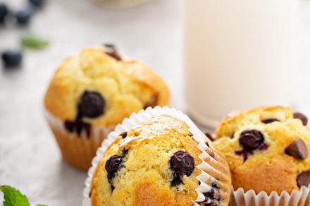 Chocolate chip and blueberry muffins, a Food & Drink Photo by farwasser