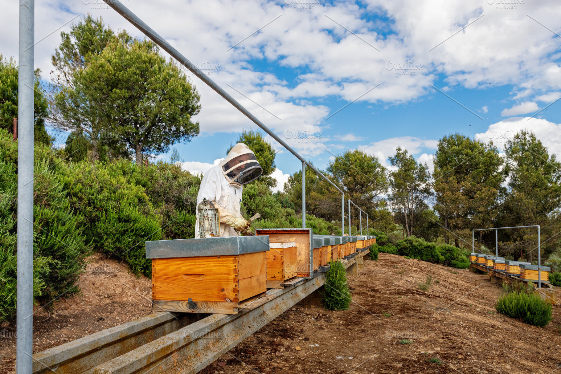 Beekeeper working with beehives in a, an Arts & Entertainment Photo by Perpis
