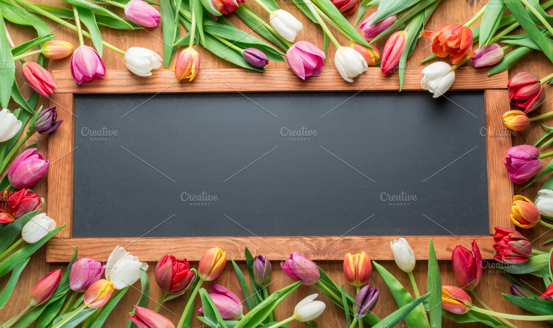 Tulip frame. Spring background., a Holiday Photo by Volff