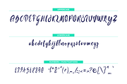 Saturday Script, a Script Font by Design Dukkan (Thumbnail 7 of 7)
