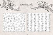 Innocent Lily - Floral Line Art, an Illustration by Julia M. Watercolor (Thumbnail 10 of 11)