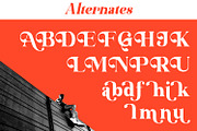 Grandyna - Modern Serif Display Font, a Serif Font by Rishsketch (Thumbnail 10 of 12)