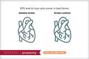 Minimal anatomy icons, an Outline Icon by Picture Window (Thumbnail 3 of 5)
