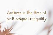 Herb - floral ligature font, a Serif Font by Innire (Thumbnail 2 of 10)