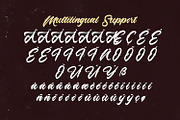 Lazyday - Bold Script Font, a Script Font by StringLabs (Thumbnail 11 of 13)