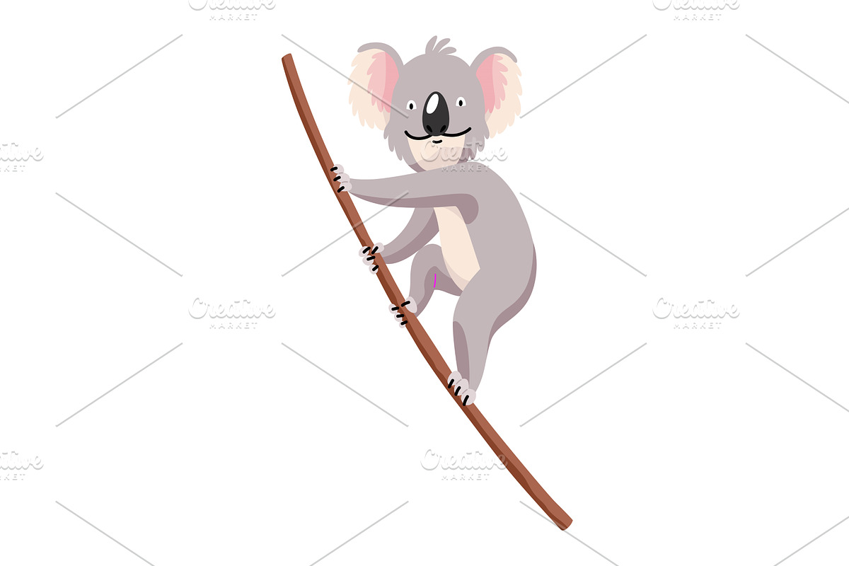 Cute cartoon koala bear isolated on, an Animal Illustration by the8monkey