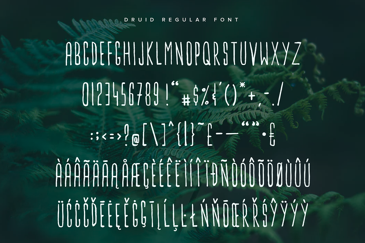 Druid & Kosta Typeface, a Script Font by Projectile (Photo 10 of 12)