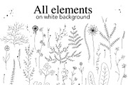 Set of wild flowers, an Object Graphic by Red_cat (Thumbnail 2 of 8)