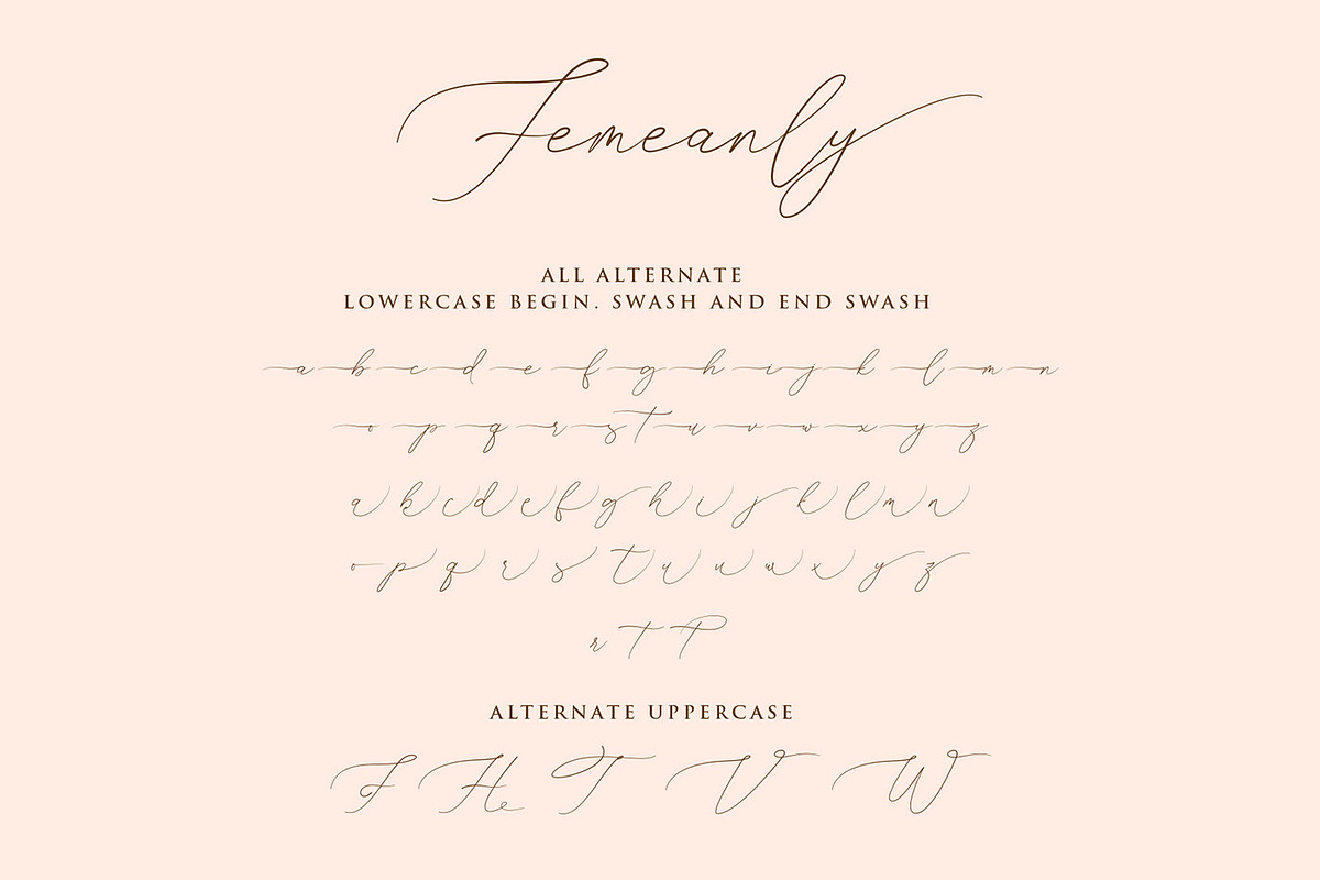 Femeanly - Casual script font, a Script Font by RantautypeStudio (Photo 13 of 13)