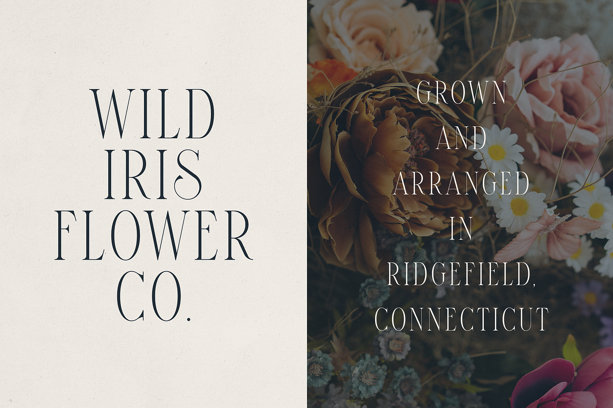 Font Bundle Vol.07 - 8 Premium Fonts, a Serif Font by Only Fonts (Photo 8 of 26)