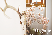 Fenir Elegant Serif Font, a Serif Font by Creative Foundry (Thumbnail 3 of 10)