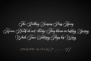 Brailganta Script, a Script Font by Strong.co (Thumbnail 12 of 12)
