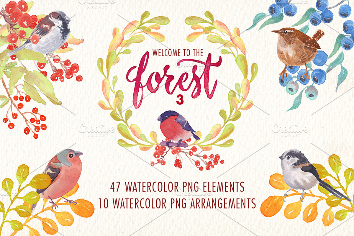 Welcome to the forest. Volume 3, an Illustration by Art & Things (Photo 1 of 3)