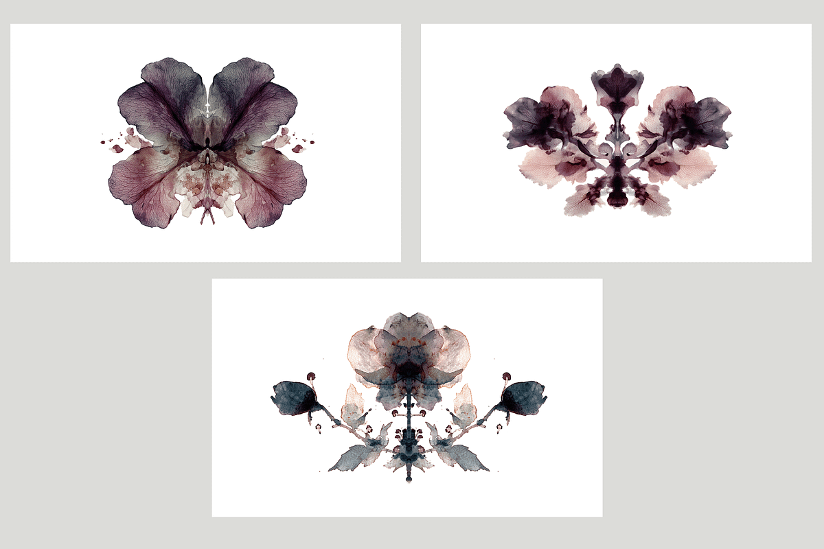 Heum Co. Botanical Inkblot Art, a Decorative Illustration by milatovar (Photo 5 of 20)