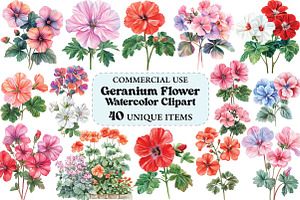 Geranium Flower Watercolor Clipart, an Illustration by Craft Nest