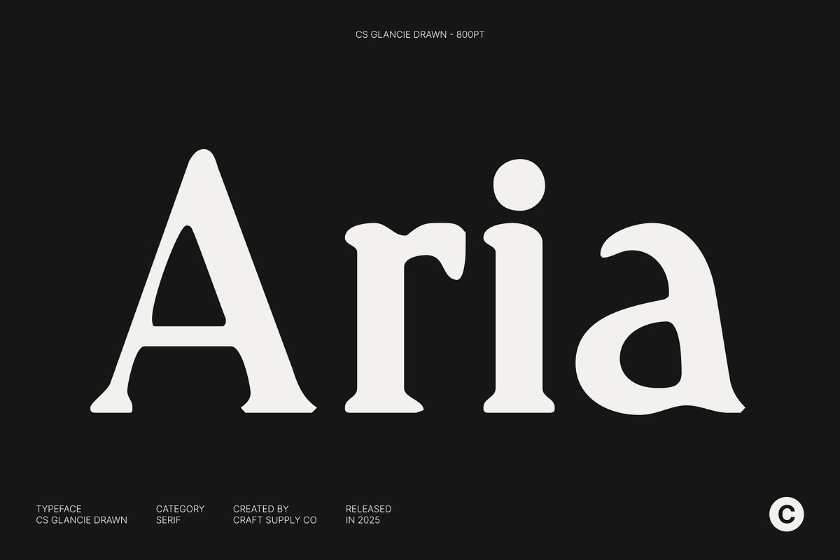 CS Glancie Drawn, a Serif Font by Craft Supply Co. (Photo 2 of 8)