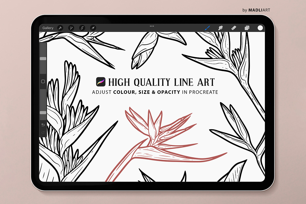 Heliconia Plant Procreate Stamps, a Brush Add-On by MadliArt (Photo 3 of 5)