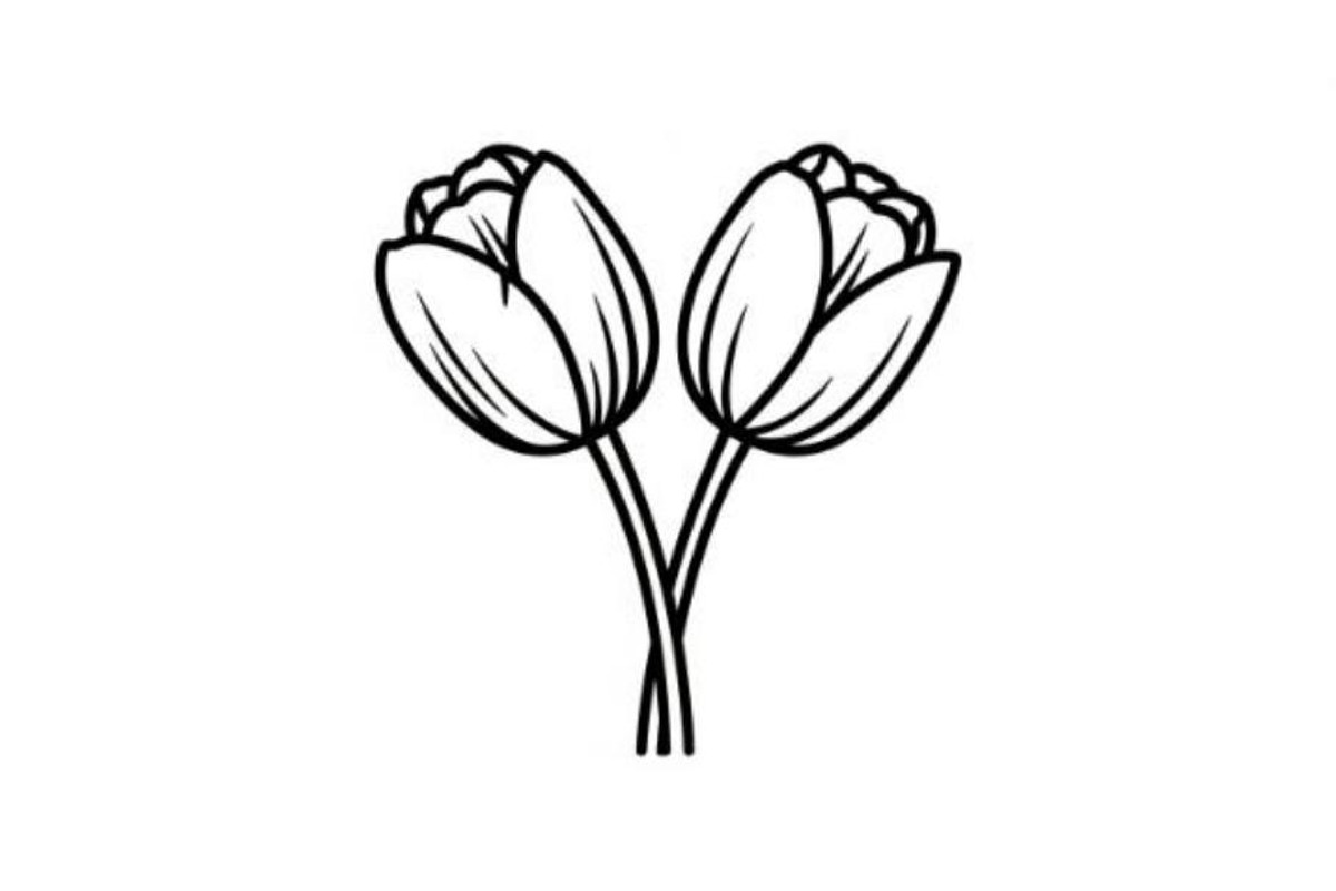 Minimalist Tulip Line, an Object Graphic by Designer_Momina (Photo 3 of 5)