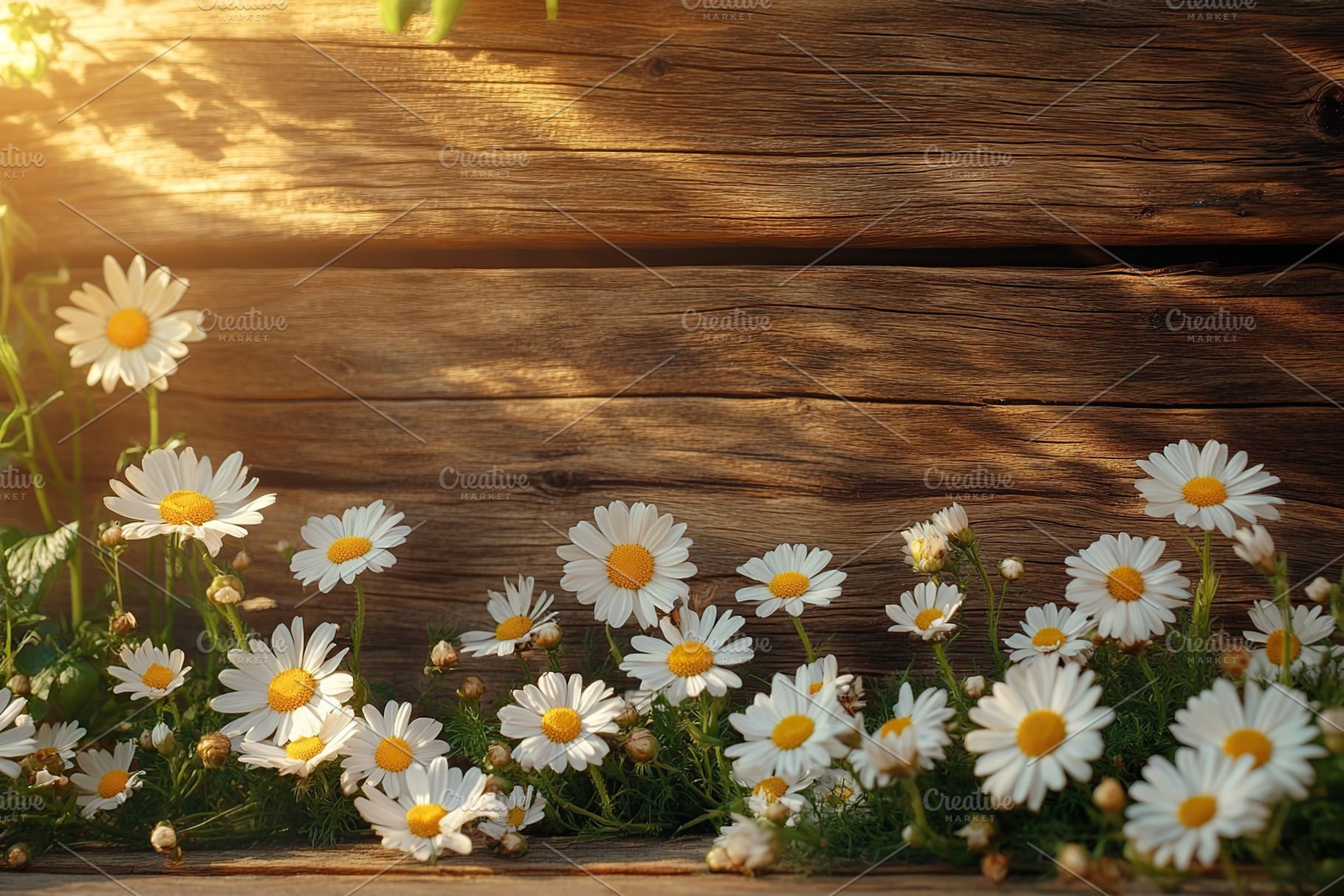 Beautiful spring chamomile flowers on wooden table, a Background Photo by AlyaAnd