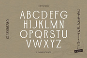 Fairwren Collective Font Bundle, a Sans Serif Font by Fairwren Creative (Thumbnail 8 of 18)