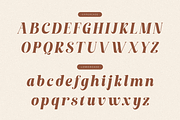 The Royals Queen, a Serif Font by saemoon creative (Thumbnail 11 of 15)