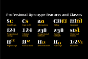Qualitype Variable Family, a Serif Font by BULENT YUKSEL (Thumbnail 7 of 14)