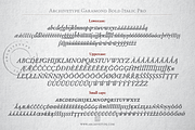 Archive Garamond Pro Family of 4, a Font by Archive Type Fonts (Thumbnail 13 of 14)