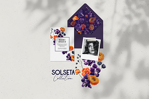 Solseta Floral Illustration Bundle