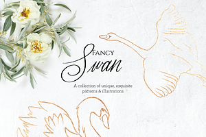 Fancy Swan Collection