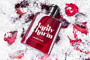 Pramid Mango Modern Display Serif, a Serif Font by timelesstype.co (Thumbnail 12 of 20)