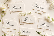Vintage Elegance Script, a Script Font by BilberryCreates (Thumbnail 3 of 9)