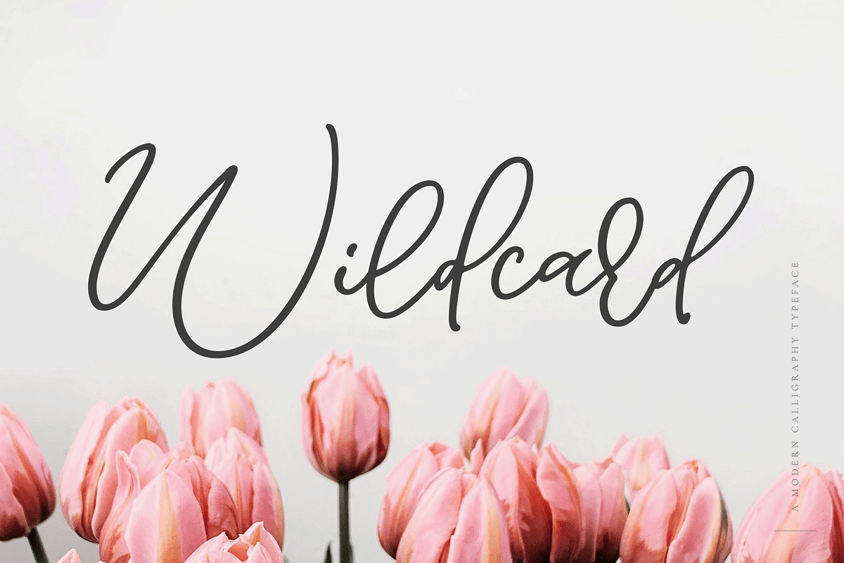 Wildcard | Modern Calligraphy Font
